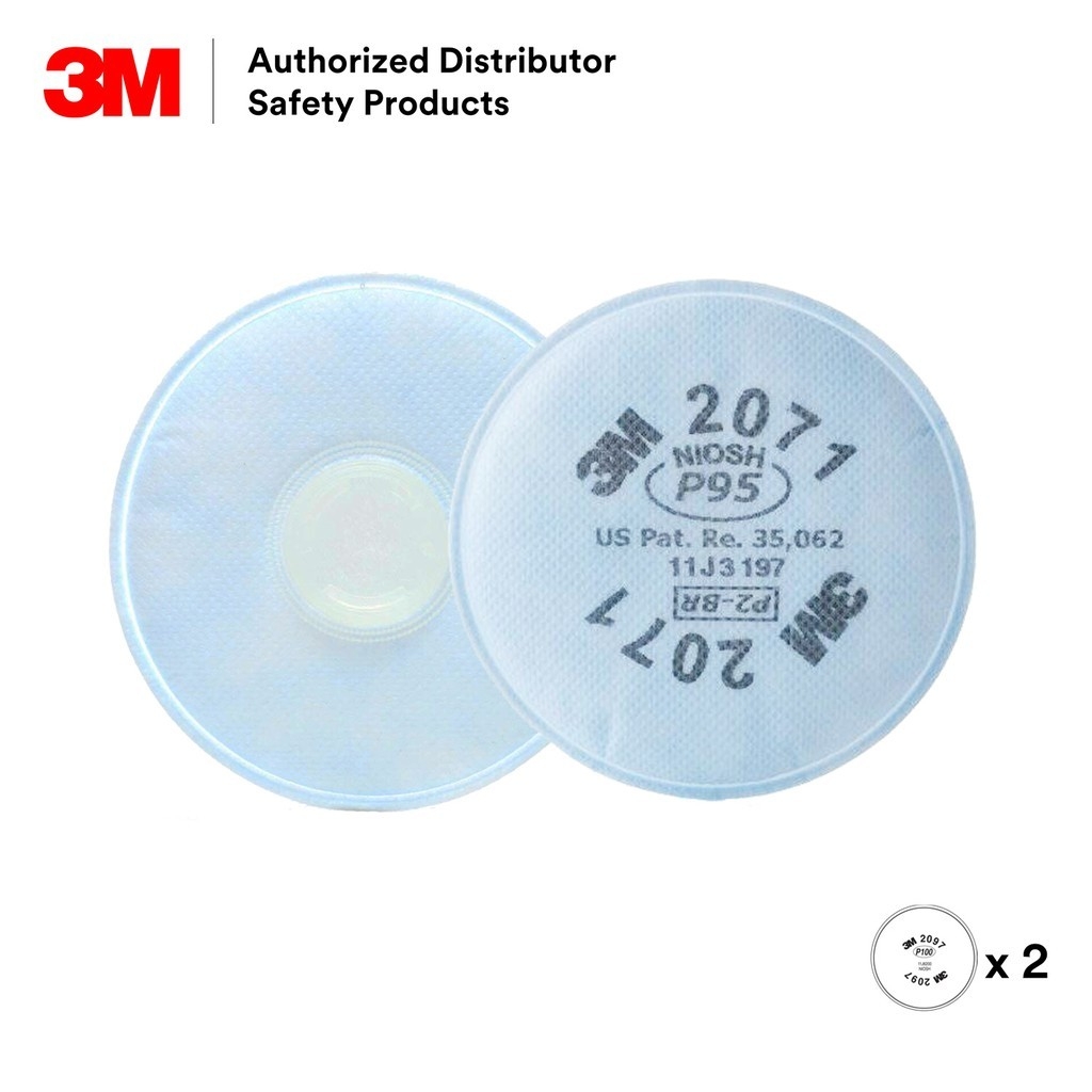 Particulate Filter, P95